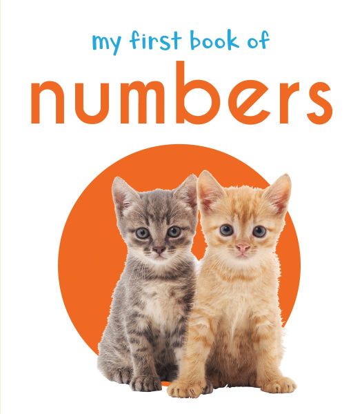 Wonder house My First book of numbers